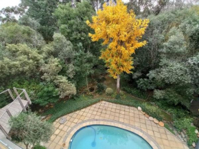 Pecan Tree Studio 2 with Forest View